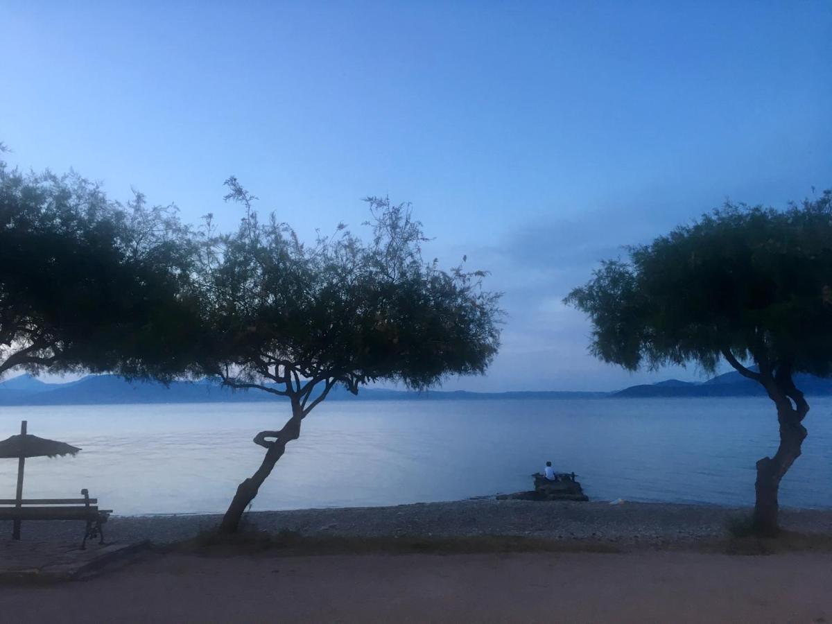 VarnavasEratous Seaside House公寓 外观 照片