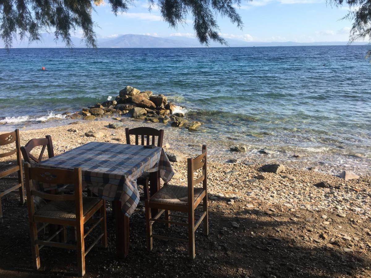 VarnavasEratous Seaside House公寓 外观 照片