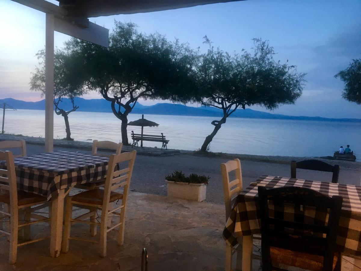 VarnavasEratous Seaside House公寓 外观 照片